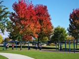 Settlers Park swings with autumn trees
