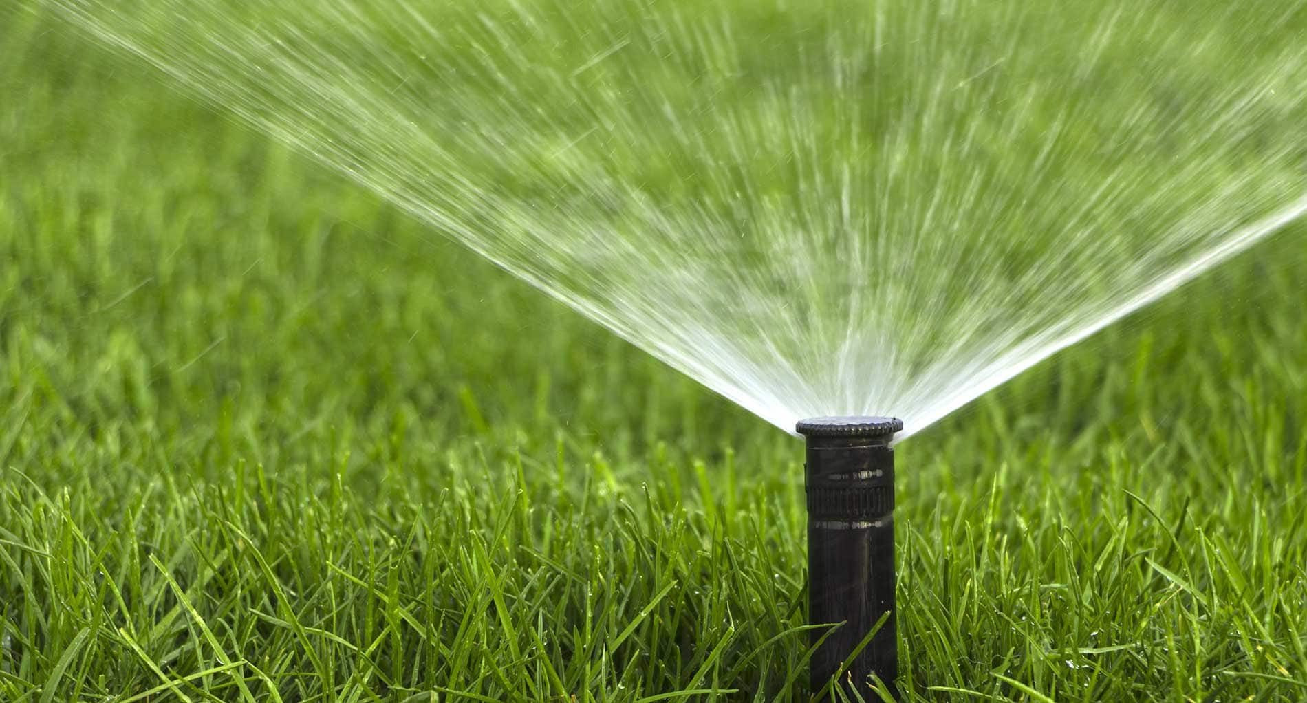 Close up of a lawn sprinkler