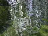 "Hot Springs" by Tony Morse